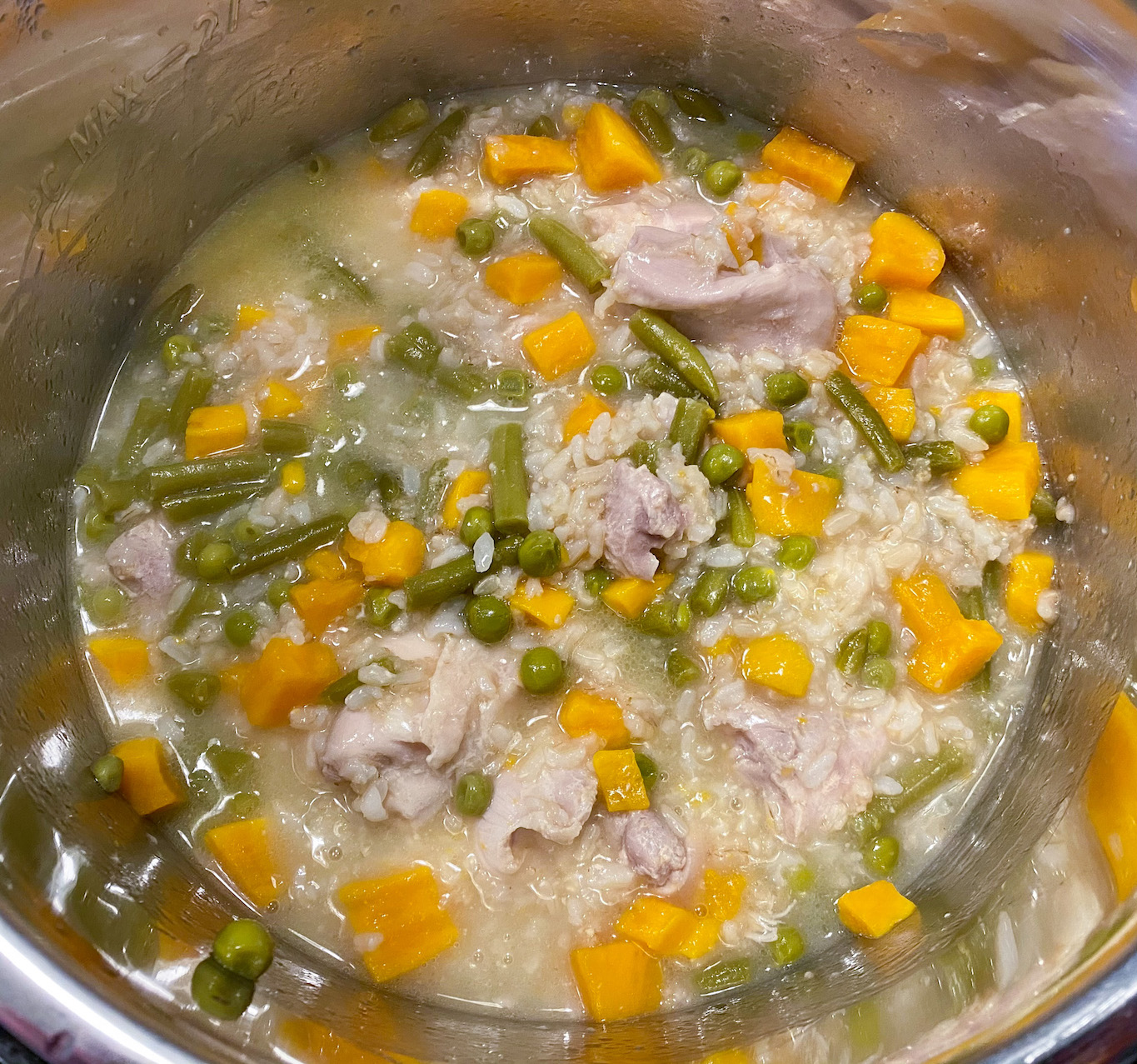Instant Pot Chicken Stew (for Dogs) Pebbles and Toast