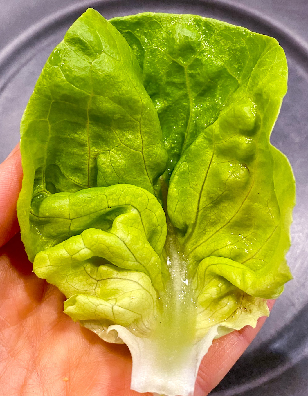 Vegan Asian Lettuce Wraps – Pebbles and Toast